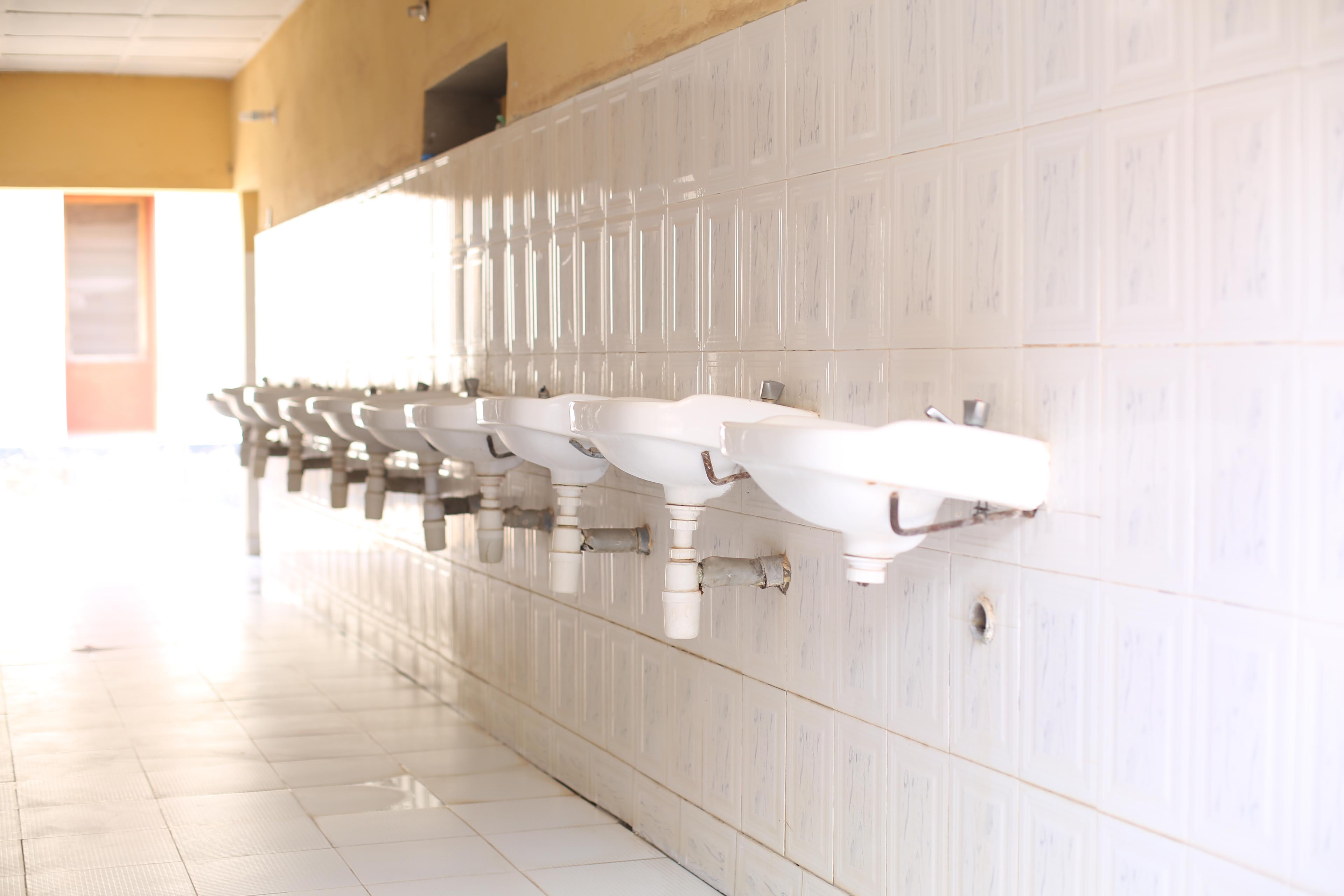 Field Trip Experience